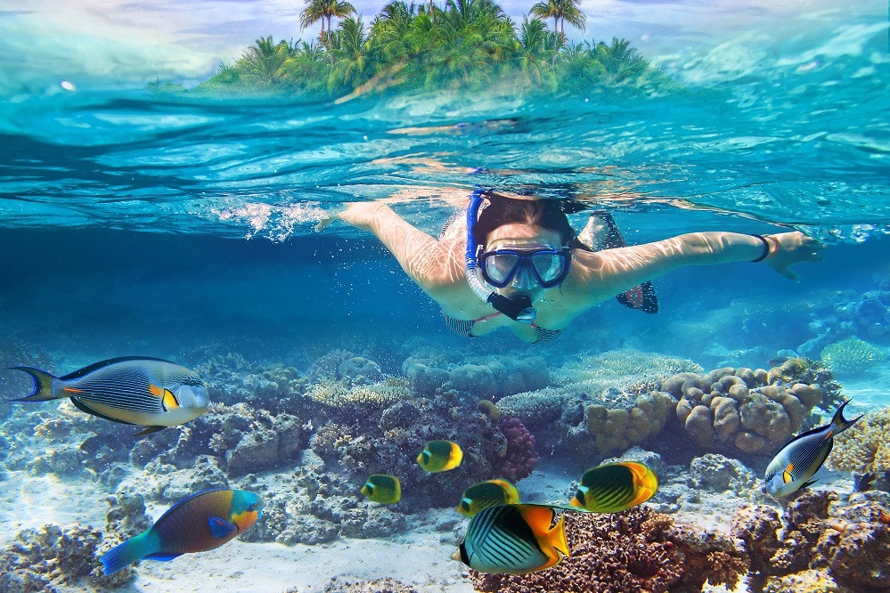 Diving offer